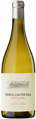Wino Merseguera 2022 – białe | Finca Calvestra