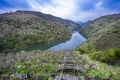 ENVINATE-0124.jpg